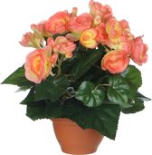 2x stuks zalmroze Begonia kunstplant met bloemen 25 cm in grijze pot - Kunstplanten/nepplanten - Voor binnen