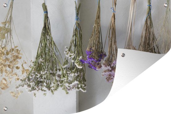 Muurdecoratie Verschillende Limonium bloemen hangen te drogen - 180x120 cm  - Tuinposter | bol.com
