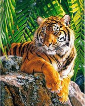 Premium Paintings - Diamond Painting Volwassenen - Gemaakt van gerecycled plastic - Tijger - Dieren - 30x40cm