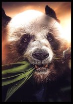Hungry Panda B2 botanische jungle dieren poster