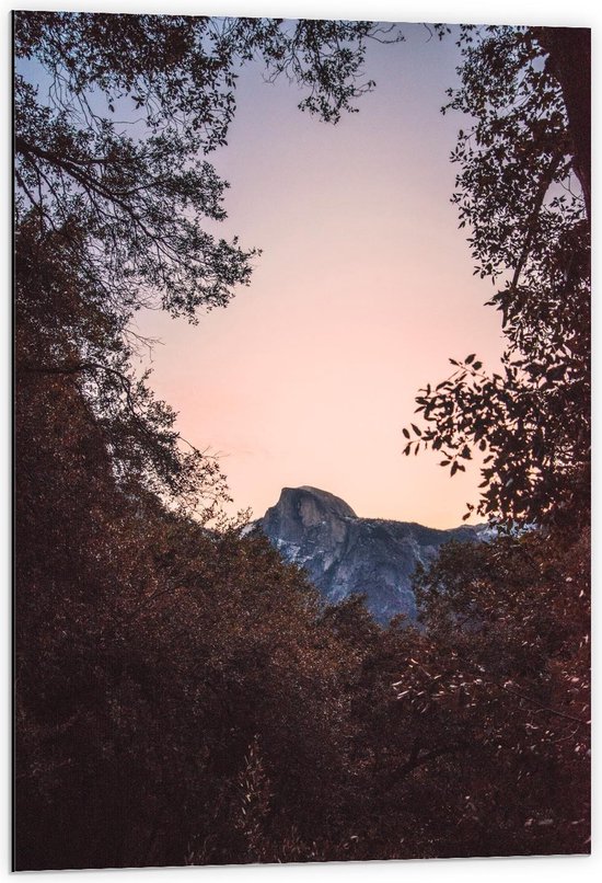 Dibond - Montagnes entre les Cimes des Arbres - Photo 60x90cm sur Aluminium (Décoration murale murale Métal)