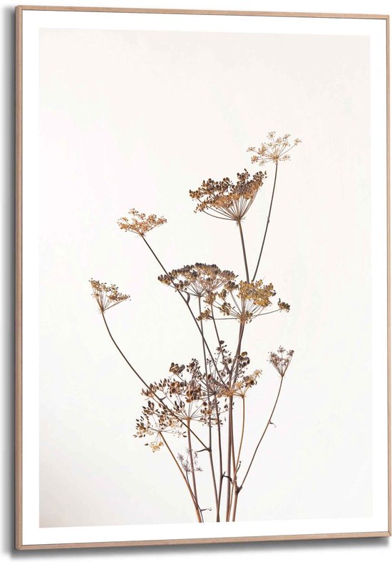 ontploffen geboorte meest Schilderij Bloemen en Planten Berenklauw 70x50 cm Hout - Reinders | bol.com
