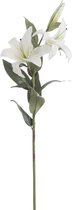 J-Line Iris Bloem Fresh Touch Plastiek Wit