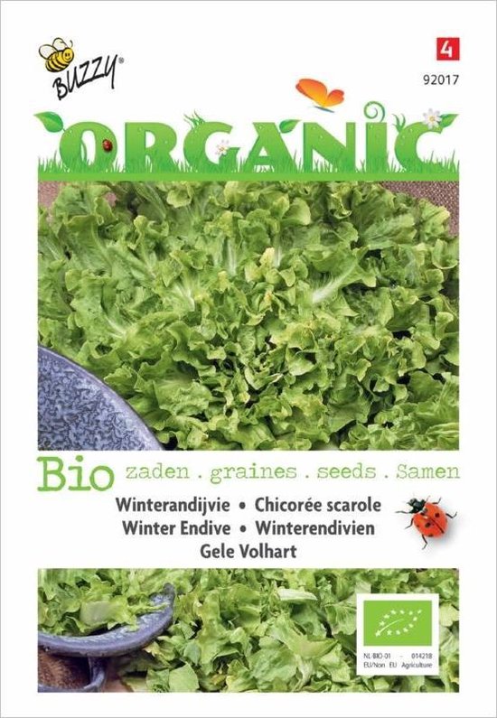 Buzzy® Organic Andijvie gele Volhart (BIO)