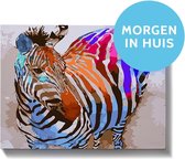 Schilderen op nummer Gekleurde zebra