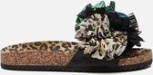 Colors of California Slippers zwart - Maat 36