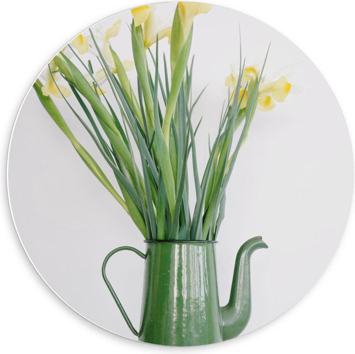 Forex Wandcirkel - Groene Gieter met Bloemetjes - 60x60cm Foto op Wandcirkel (met ophangsy