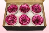 Rozenkoppen | 100% natuurlijk | Metallic roze | XL
