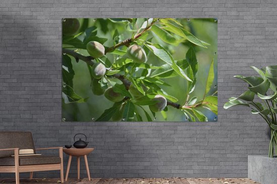 Affiche de jardin noix d'amande toile en vrac 160x120 cm - Toile de jardin / Toile d'extérieur / Peintures d'extérieur (décoration de jardin) XXL / Groot format!