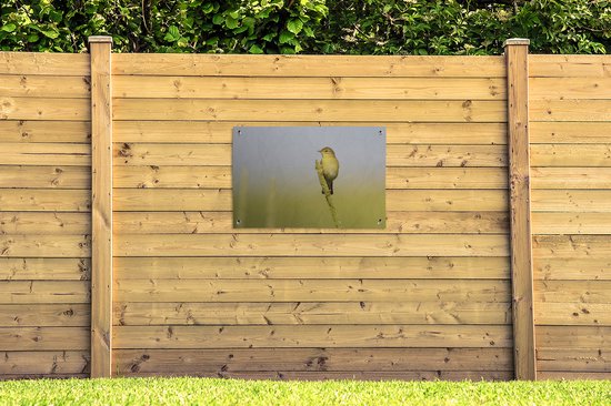 Fitis on lookout affiche de jardin en vrac 90x60 cm - Toile de jardin / Toile d'extérieur / Peintures pour l'extérieur (décoration de jardin)