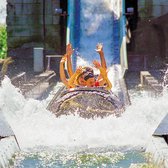 Bongo Bon - BEZOEK AAN PLOPSALAND DE PANNE VOOR 2 - Cadeaukaart cadeau voor man of vrouw