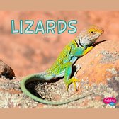 Lizards