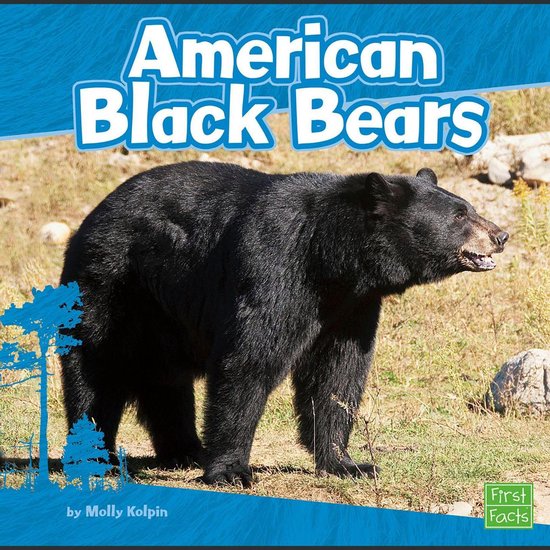 American Black Bears - cover