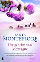 Het geheim van Montague