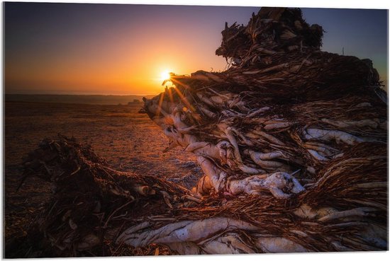 Acrylglas - Landschap met Zonsondergang - 90x60cm Foto op Acrylglas (Met Ophangsysteem)