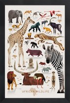 JUNIQE - Poster in houten lijst Vintage Afrika -40x60 /Kleurrijk