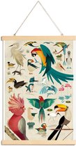 JUNIQE - Posterhanger Vintage vogels -40x60 /Kleurrijk