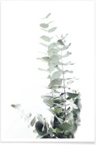 JUNIQE - Poster Eucalyptus foto -60x90 /Groen & Wit