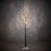 Luca Lighting - Minuterie Tree brun classique blanc 600led IP44 - h180xd100cm