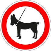 Honden aan de lijn houden sticker 50 mm - 10 stuks per kaart