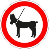 Honden aan de lijn houden sticker 200 mm