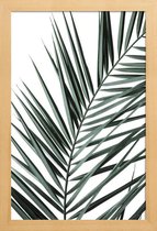 JUNIQE - Poster in houten lijst Phoenix -20x30 /Groen & Wit