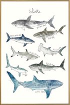 JUNIQE - Poster met kunststof lijst Haaien illustratie -30x45 /Blauw &