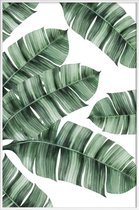 JUNIQE - Poster in kunststof lijst Palmbladeren -60x90 /Groen & Wit