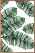 JUNIQE - Poster met kunststof lijst Palmbladeren -13x18 /Groen & Wit