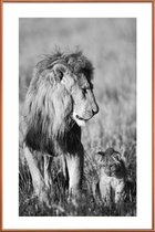 JUNIQE - Poster met kunststof lijst Lion Teaching His Cub -60x90