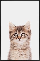 JUNIQE - Poster in kunststof lijst Kitten II -30x45 /Bruin & Grijs