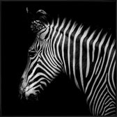 JUNIQE - Poster met kunststof lijst Zebra profiel foto -50x50 /Wit &