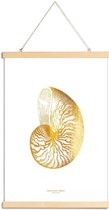 JUNIQE - Posterhanger Nautilus Shell gouden -20x30 /Goud & Wit