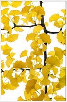JUNIQE - Poster met kunststof lijst Ginkgo -40x60 /Bruin & Geel