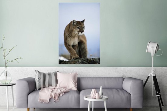 Poster Puma on rock 120x180 cm - Tirage photo sur Poster (décoration murale salon / chambre) / Poster Animaux XXL / Groot format!