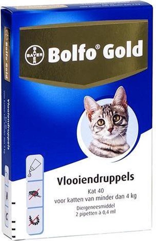 bloeden deugd Interactie Bayer Bolfo Gold 80 Anti vlooienmiddel - Kat - > 4 kg - 4 pipetten | bol.com