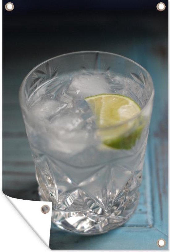 Artfulprints Gin Tonic cocktail - Illustratie 30x40 cm