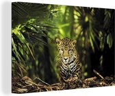 OneMillionCanvasses - Canvas - Jaguar - Jungle - Planten - Katachtig - Tropisch - Schilderijen op canvas - Kamer decoratie - 30x20