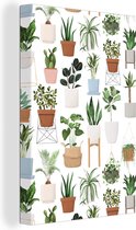 Motif de diverses illustrations de plantes sur fond blanc 20x30 cm - petit - Tirage photo sur toile (Décoration murale salon / chambre)