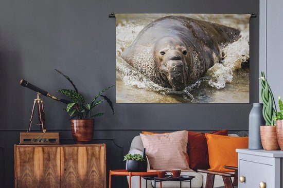 Tapisserie Animaux aquatiques - Éléphant de mer sortant de la mer Tapisserie coton 120x80 cm - Tapisserie avec photo