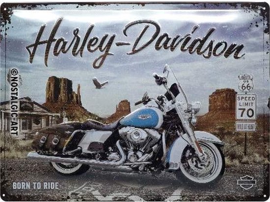 Harley-Davidson motorfiets in wit en lichtblauw met bagage op de achtergrond van Monument Valley.