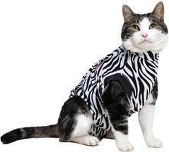 Medical Pet Shirt Kat Zebra Print - XXS