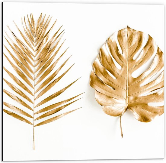 Dibond - Gouden Bladeren op Witte Achtergrond - 50x50cm Foto op Aluminium (Wanddecoratie van metaal)