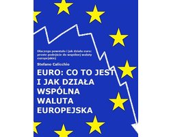 EURO: co to jest i jak działa wspólna waluta europejska