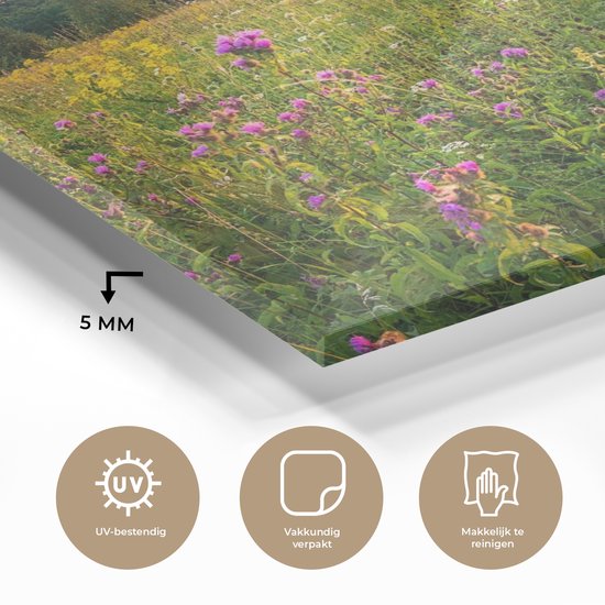 MuchoWow® Peinture sur verre 160x120 cm - Peinture sur verre acrylique - Soleil - Herbe - Fleurs - Photo sur verre - Peintures