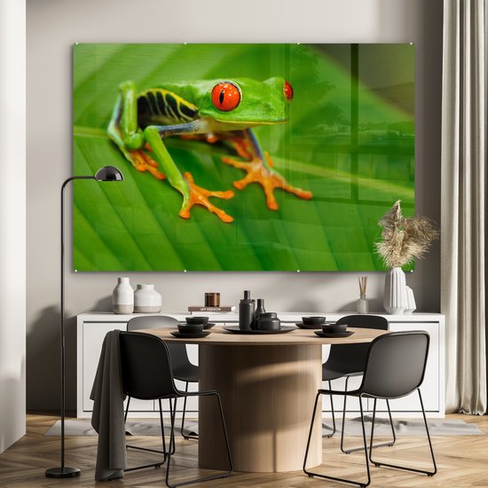 MuchoWow® Peinture sur verre 180x120 cm - Peinture sur verre acrylique - Grenouille - Feuille - Reptile - Photo sur verre - Peintures