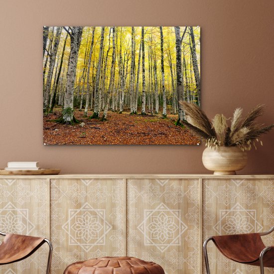 Feuilles jaunes dans la forêt en automne Glas 90x60 cm - Tirage photo sur Glas (Décoration murale en plexiglas)