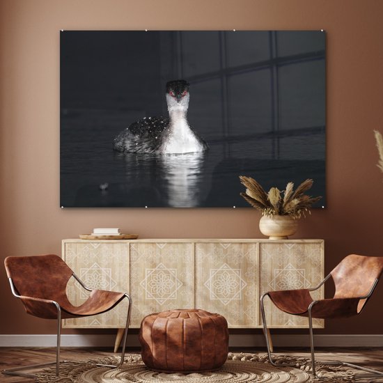 ® Glasschilderij 180x120 cm - Schilderij acrylglas - Een zwart-wit afbeelding van een Kuifduiker - Foto op glas - Muurdecoratie woonkamer - Wanddecoratie slaapkamer - Schilderijen