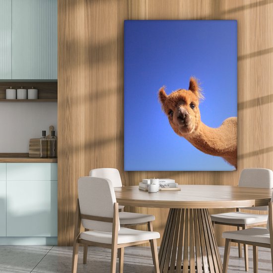 Peintures sur Toile - Alpaga Curieux - 90x120 cm - Décoration murale