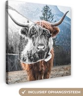 Dieren - Schotse Hooglander - Stier - Canvas - 20x20 cm - Wanddecoratie